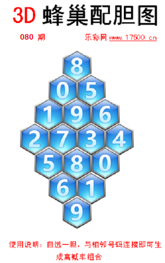 080福1蜂巢.png